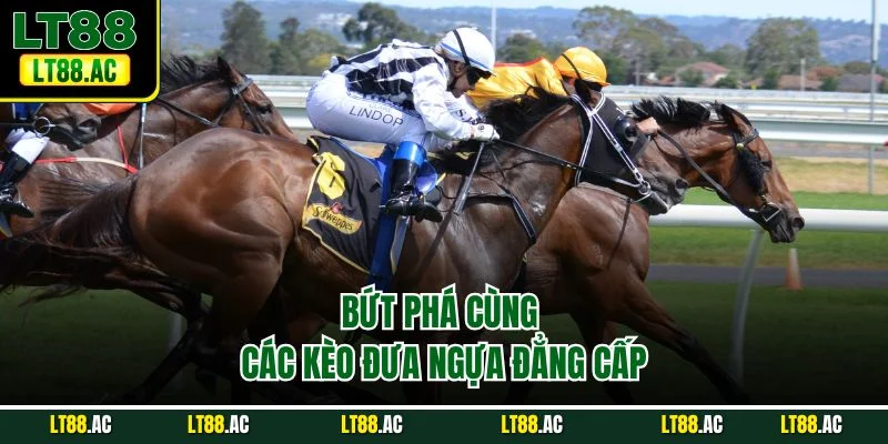 Bứt phá cùng các kèo đưa ngựa đẳng cấp