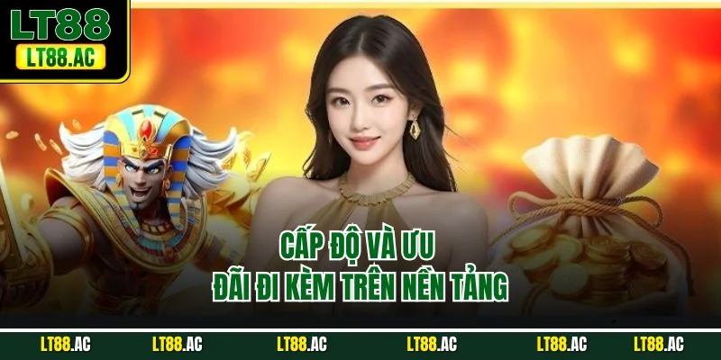 Cấp độ và ưu đãi đi kèm trên nền tảng