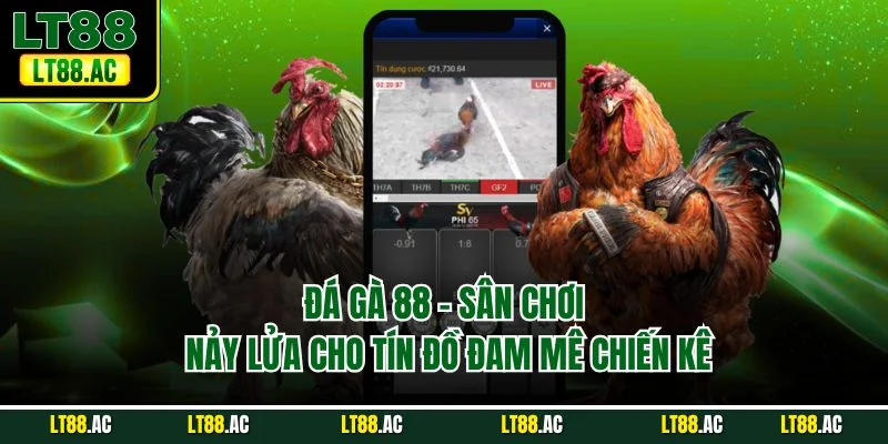 Đá gà 88