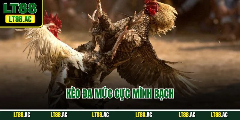 Kèo đa mức cực mình bạch