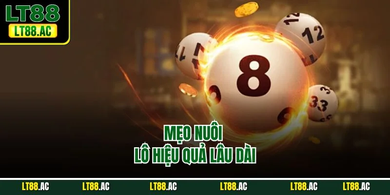 Mẹo nuôi lô hiệu quả lâu dài