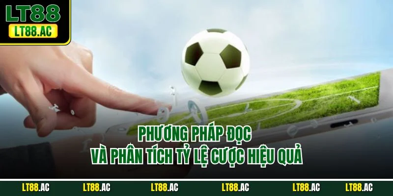 Phương pháp đọc và phân tích tỷ lệ cược hiệu quả