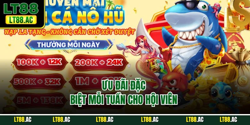 Ưu đãi đặc biệt mỗi tuần cho hội viên 